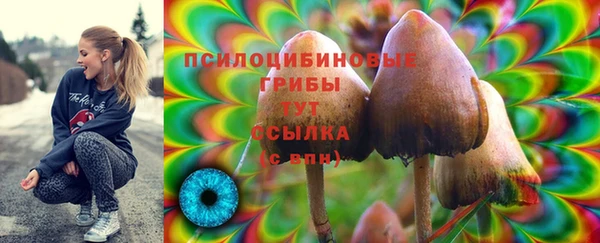 apvp Алексин