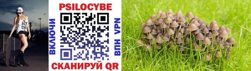 наркотики  мориарти как зайти  Галлюциногенные грибы Psilocybine cubensis  Аргун 