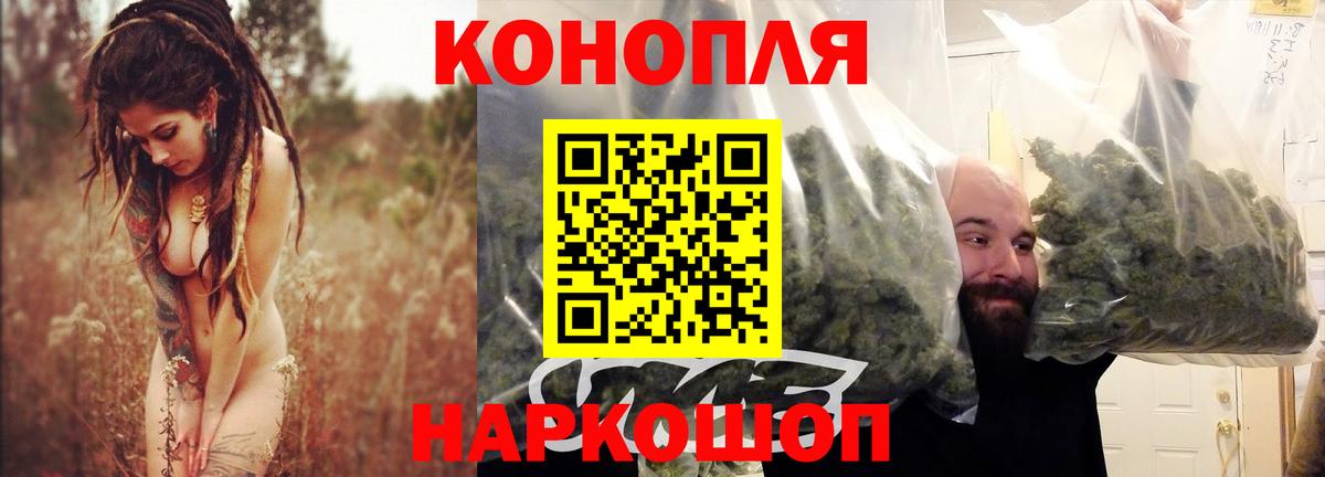 Бошки Шишки LSD WEED  Марихуана сатива  Аргун  Вход с VPN  Каннабис сатива 
